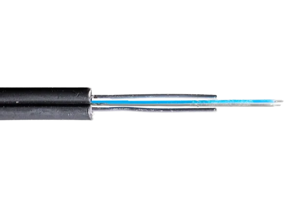 P5210185