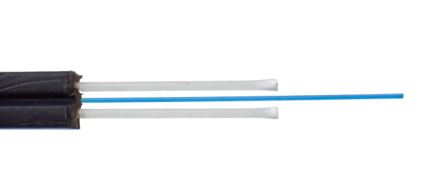P5260033